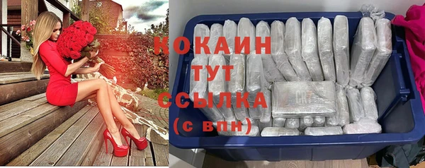 дмт Надым