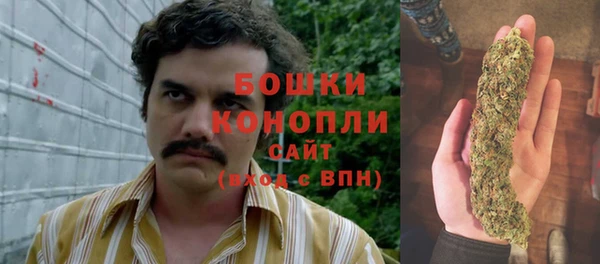 дмт Надым