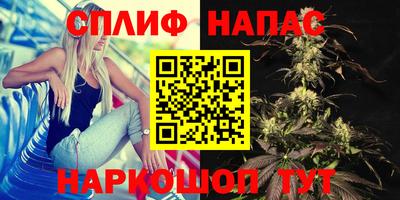 сатива Абинск
